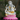 Narayana Lakshmi Silver Idol