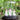 Lakshmi Ganesh Saraswati Silver Idol