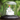 Shree Sai Baba Silver Idol