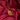 Temple Necklace