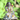 Lakshmi Maa Silver Idol