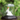Shree Sai Baba Silver Idol