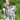 Krishna Silver Idol