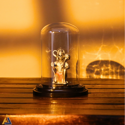 Product image [1-137.png]
