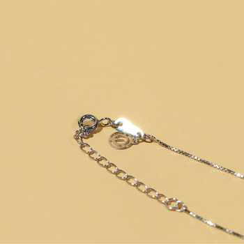 CHAIN