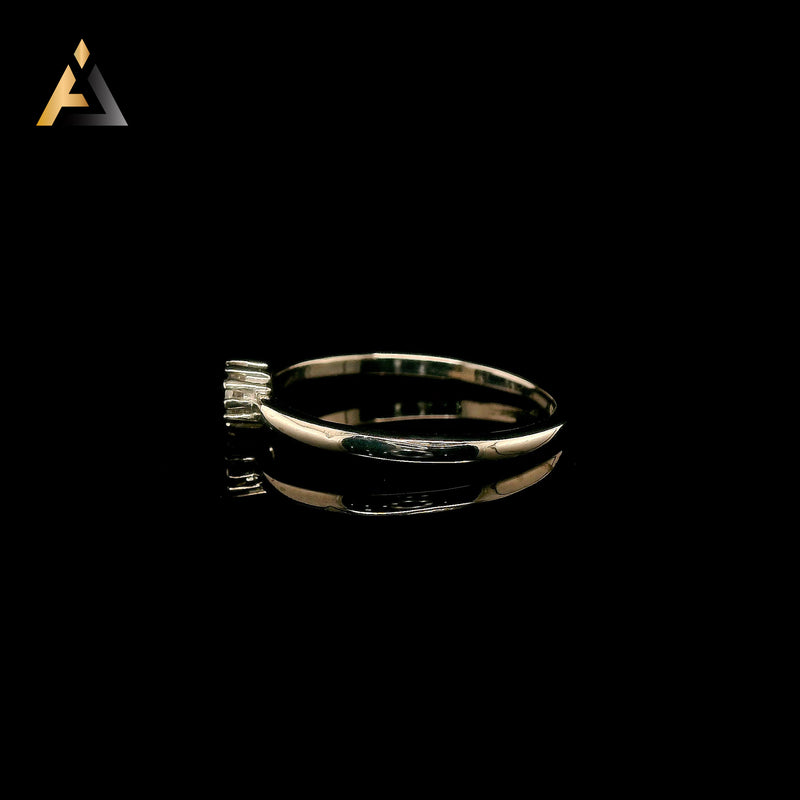 Product image [sc2rg710598ad1a-019fc6b9-b8a3-7465-8619-74edb733ea77original.jpg] [erp-media:doi-14719-0738aa03a0138377]