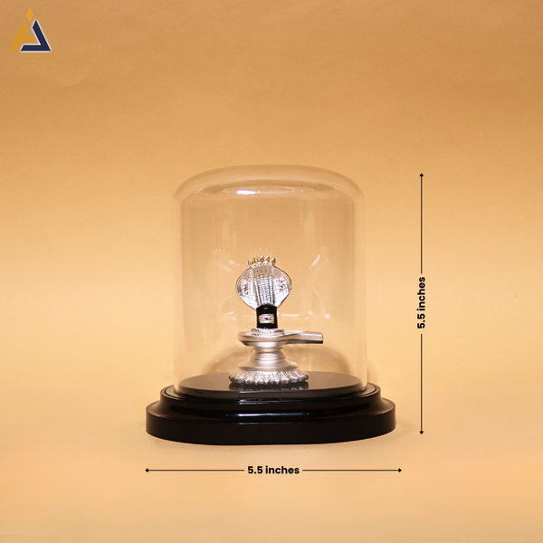 Product image [sfidol568-001-4.png] [erp-media:doi-16941-c1daeb391d0e2820]